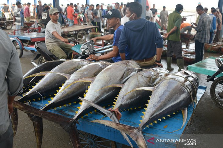 Investment in Aceh's Marine and Fisheries Industry