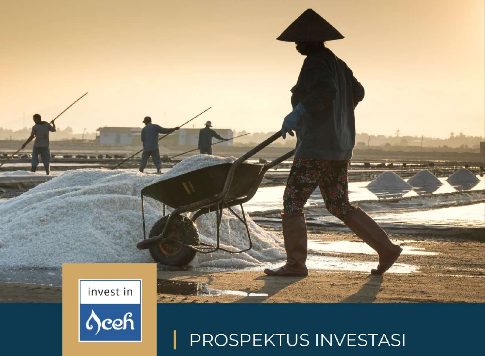 Prospectus: Industrial Salt Manufacturing in Aceh Province
